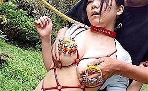 Thumbnail of post image 140