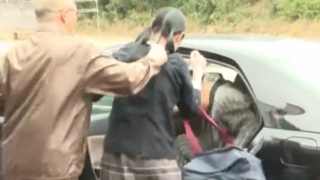 Thumbnail of post image 107